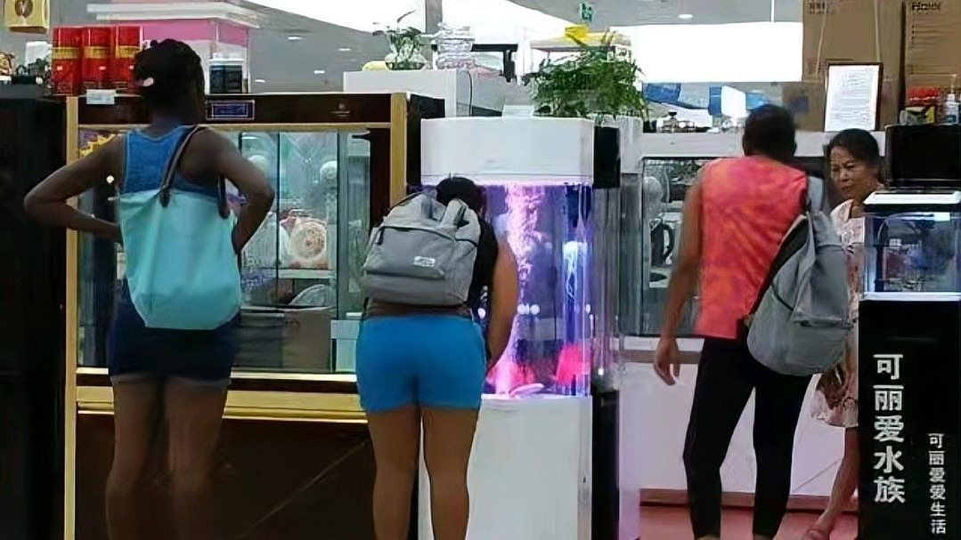寶興開水族店怎么樣？加盟祥龍魚場賣龍魚市場怎樣？