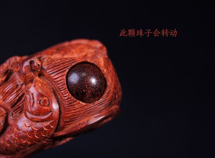 龍魚養幾年吐珠子：養幾年的龍魚會吐珠子？