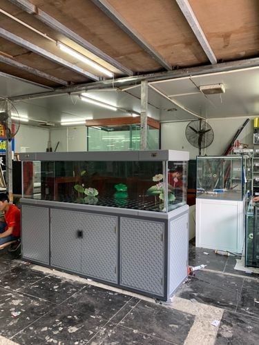 三水開水族店怎么樣？加盟祥龍魚場賣龍魚市場怎樣？