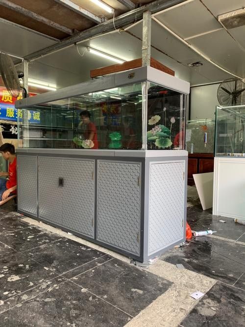 三水開水族店怎么樣？加盟祥龍魚場賣龍魚市場怎樣？