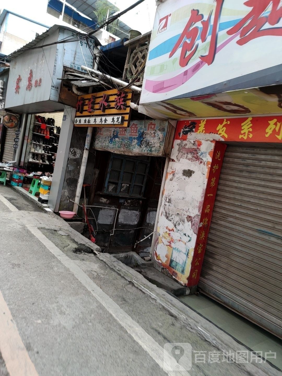 <strong><mark>思南</mark></strong>開(kāi)水族店怎么樣？加盟祥龍魚(yú)場(chǎng)賣(mài)龍魚(yú)市場(chǎng)怎樣？