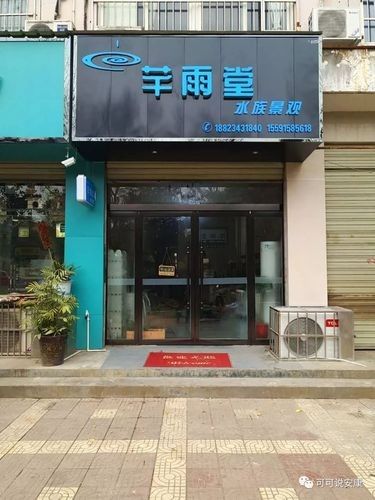 安康開(kāi)水族店怎么樣？加盟祥龍魚(yú)場(chǎng)賣龍魚(yú)市場(chǎng)怎樣？