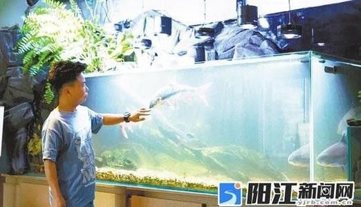 樊城開水族店怎么樣？加盟祥龍魚場賣龍魚市場怎樣？