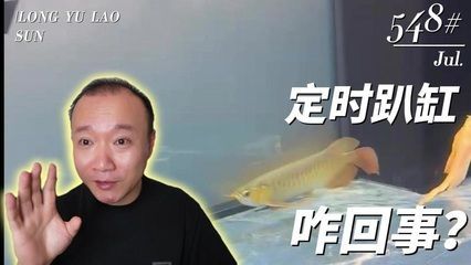 養龍魚犯不犯法（養銀龍魚是否違法）