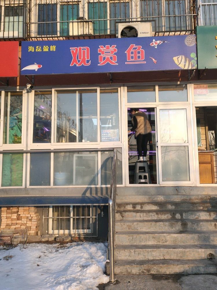 昌平開(kāi)水族店怎么樣？加盟祥龍魚(yú)場(chǎng)賣龍魚(yú)市場(chǎng)怎樣？