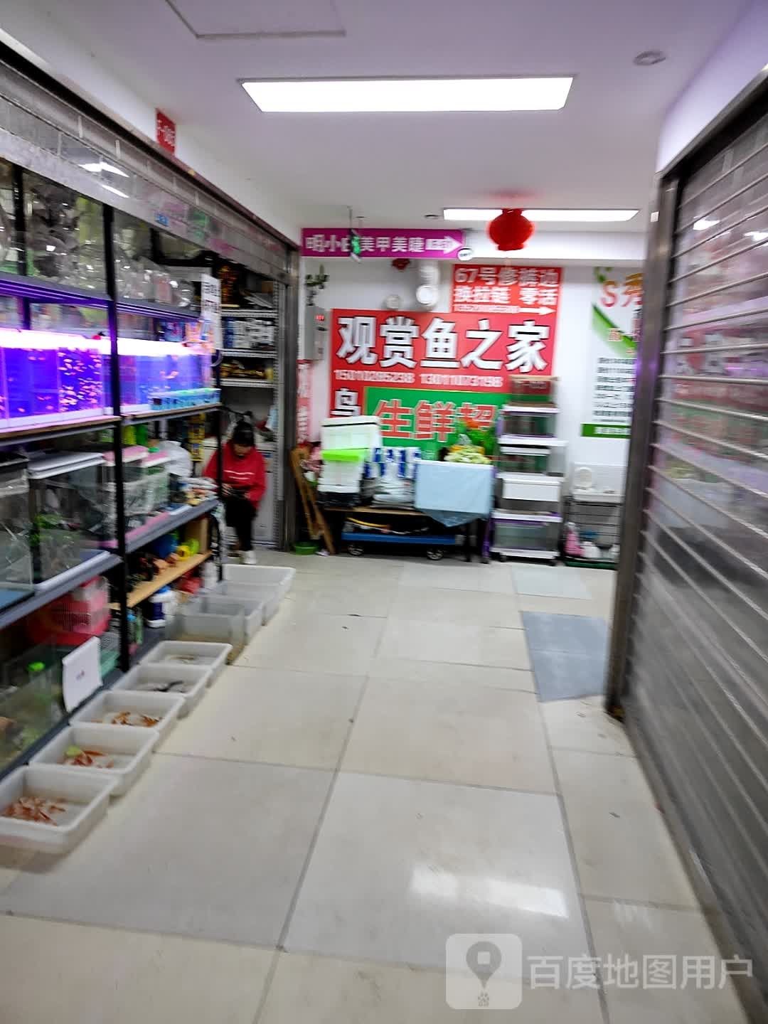 昌平開水族店怎么樣？加盟祥龍魚場賣龍魚市場怎樣？