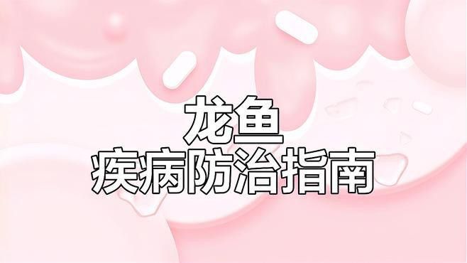 紅龍魚炸鱗如何治療？