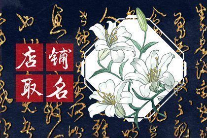 賣龍魚取一個店名字大全及寓意，如何選擇龍魚店名