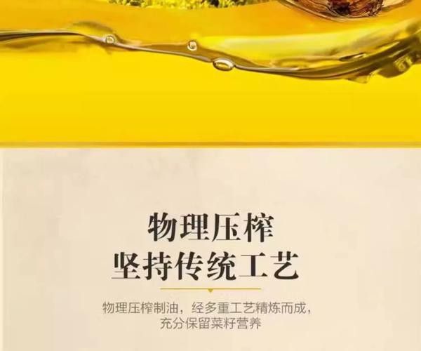 金龍魚(yú)生產(chǎn)工藝流程圖