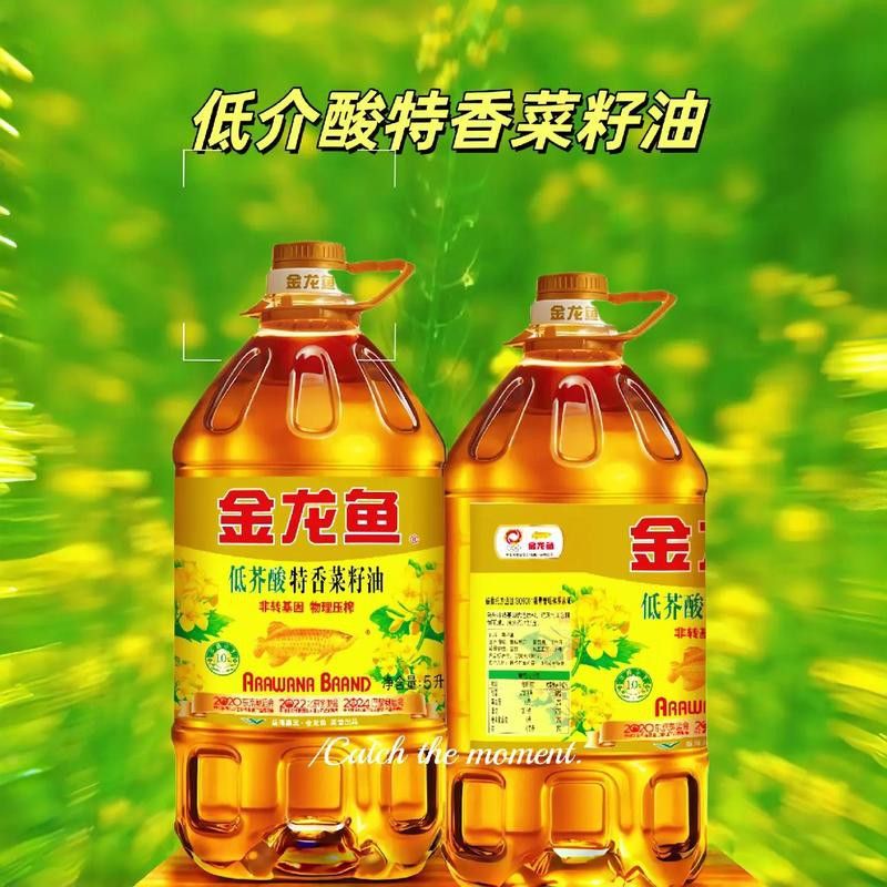 金龍魚(yú)生產(chǎn)工藝流程圖