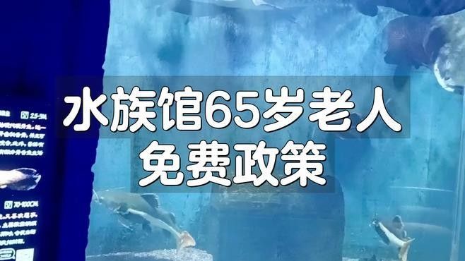 迎江開水族店怎么樣？加盟祥龍魚場賣龍魚市場怎樣？