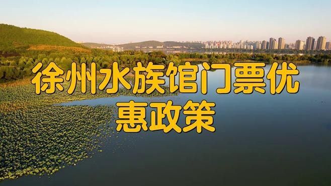 迎江開水族店怎么樣？加盟祥龍魚場賣龍魚市場怎樣？