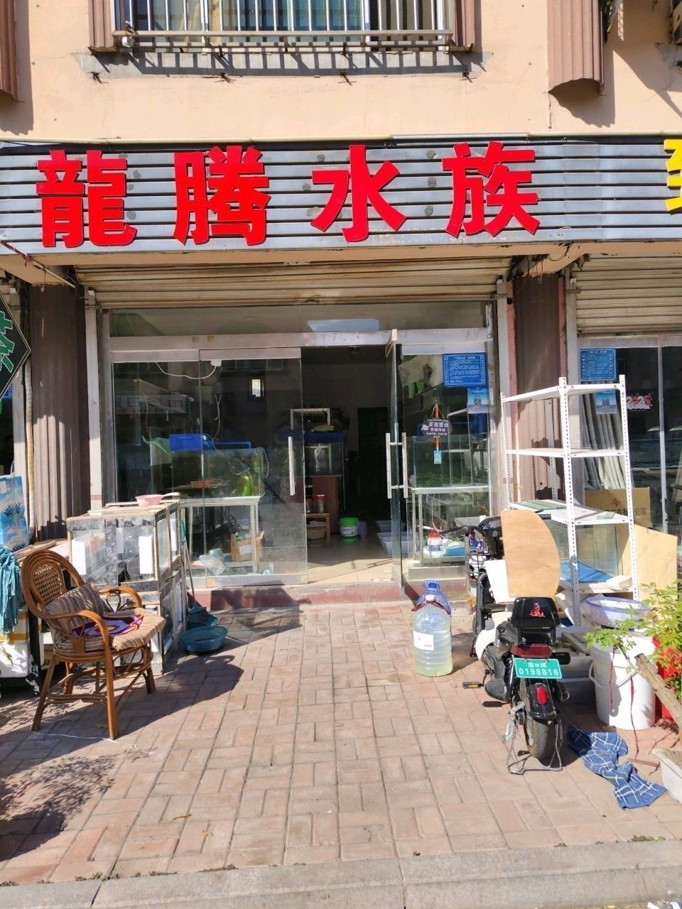 博山開水族店怎么樣？加盟祥龍魚場賣龍魚市場怎樣？