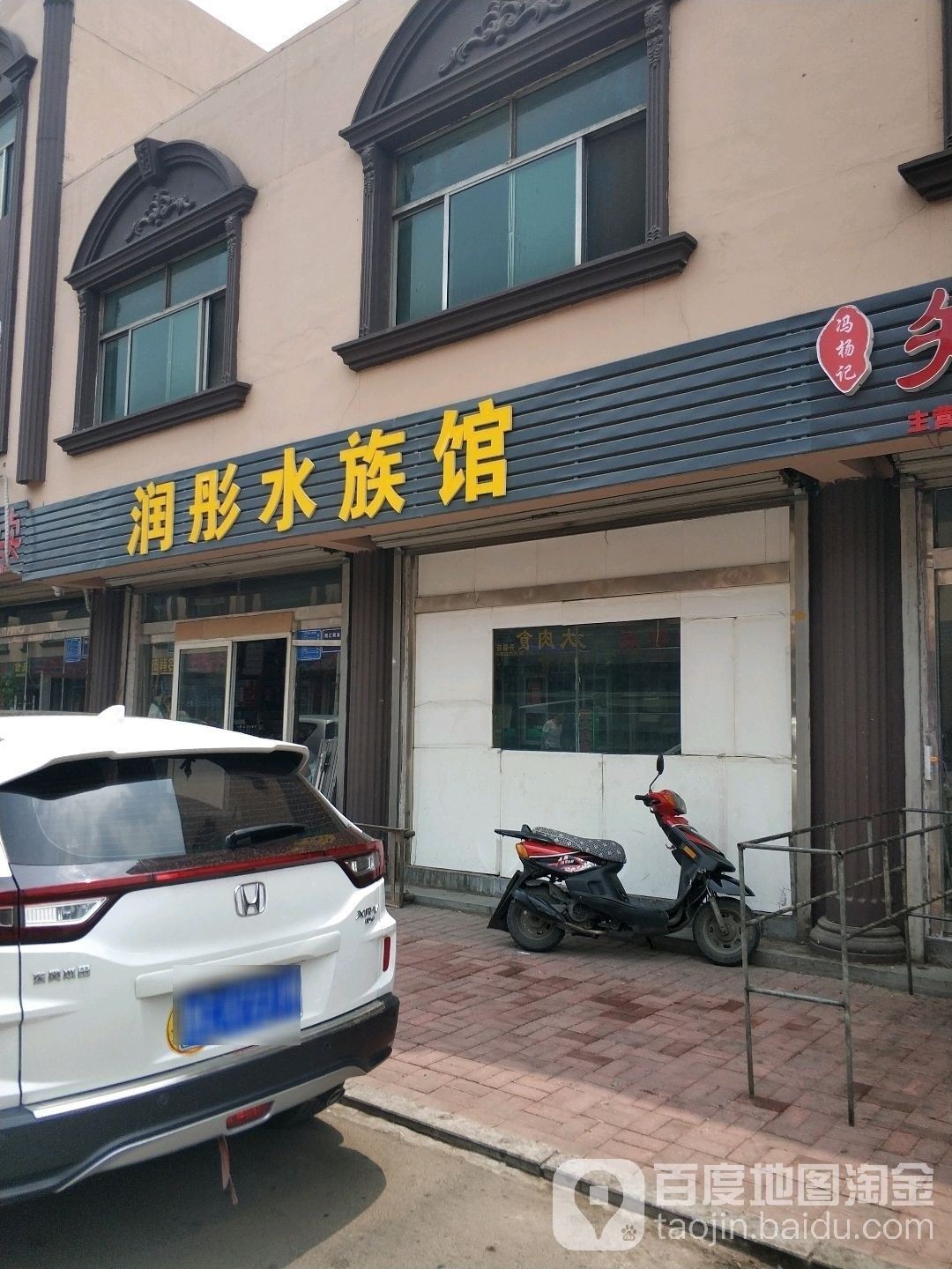 博山開水族店怎么樣？加盟祥龍魚場賣龍魚市場怎樣？