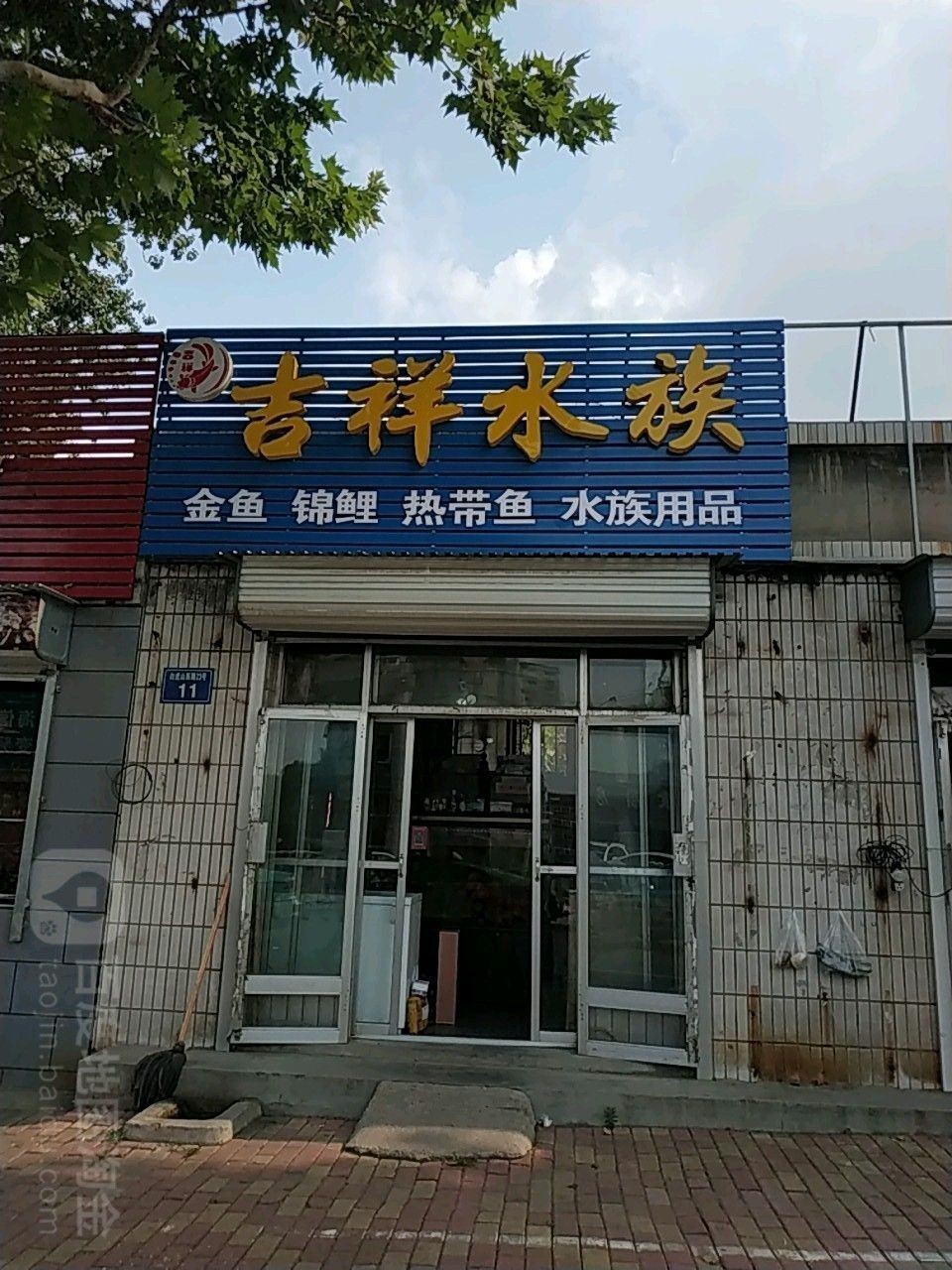 博山開水族店怎么樣？加盟祥龍魚場賣龍魚市場怎樣？