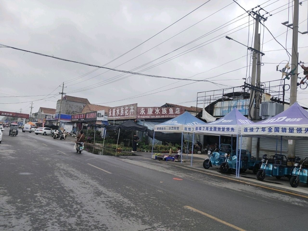 金鄉開水族店怎么樣？加盟祥龍魚場賣龍魚市場怎樣？