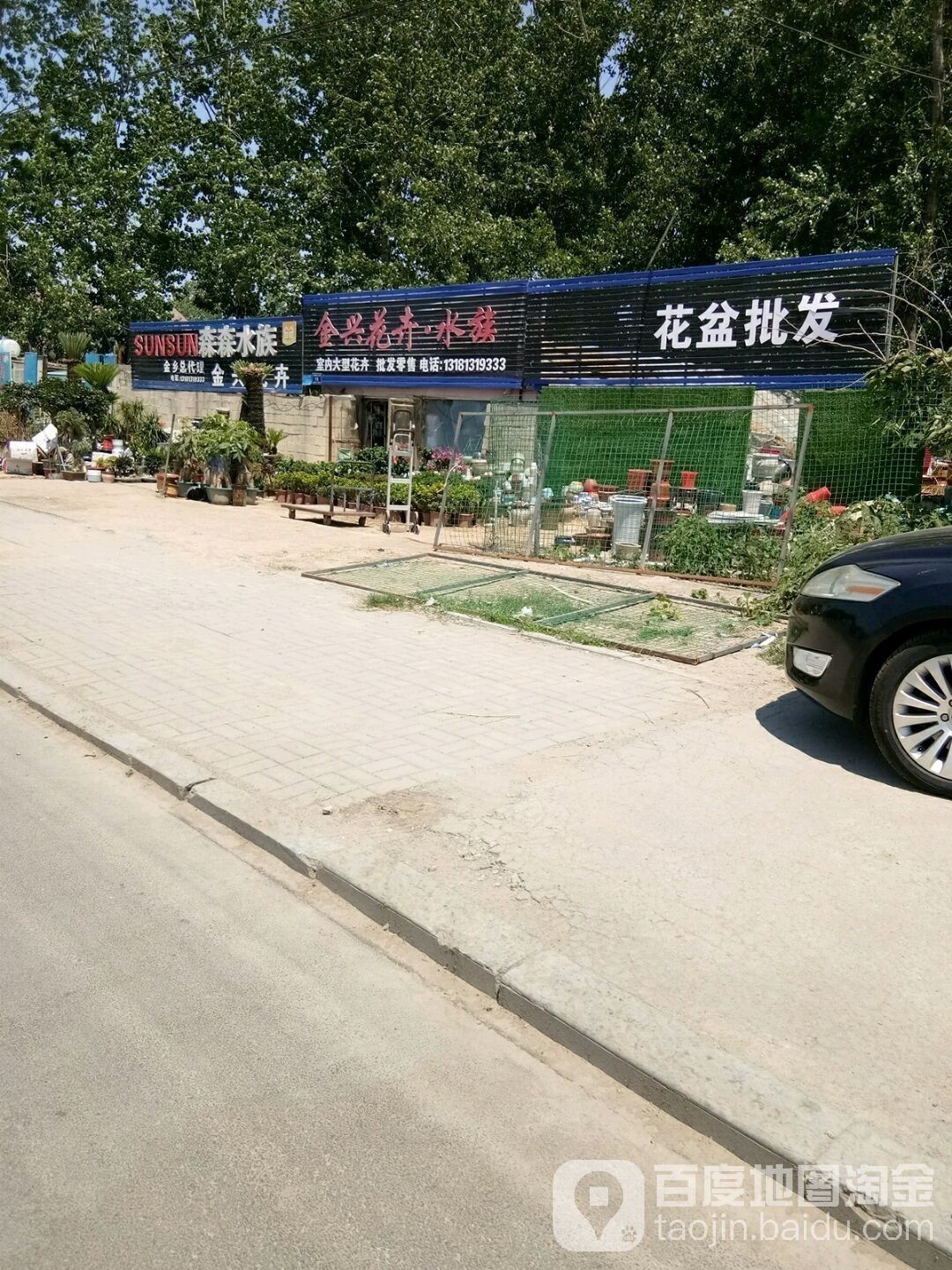 金鄉開水族店怎么樣？加盟祥龍魚場賣龍魚市場怎樣？
