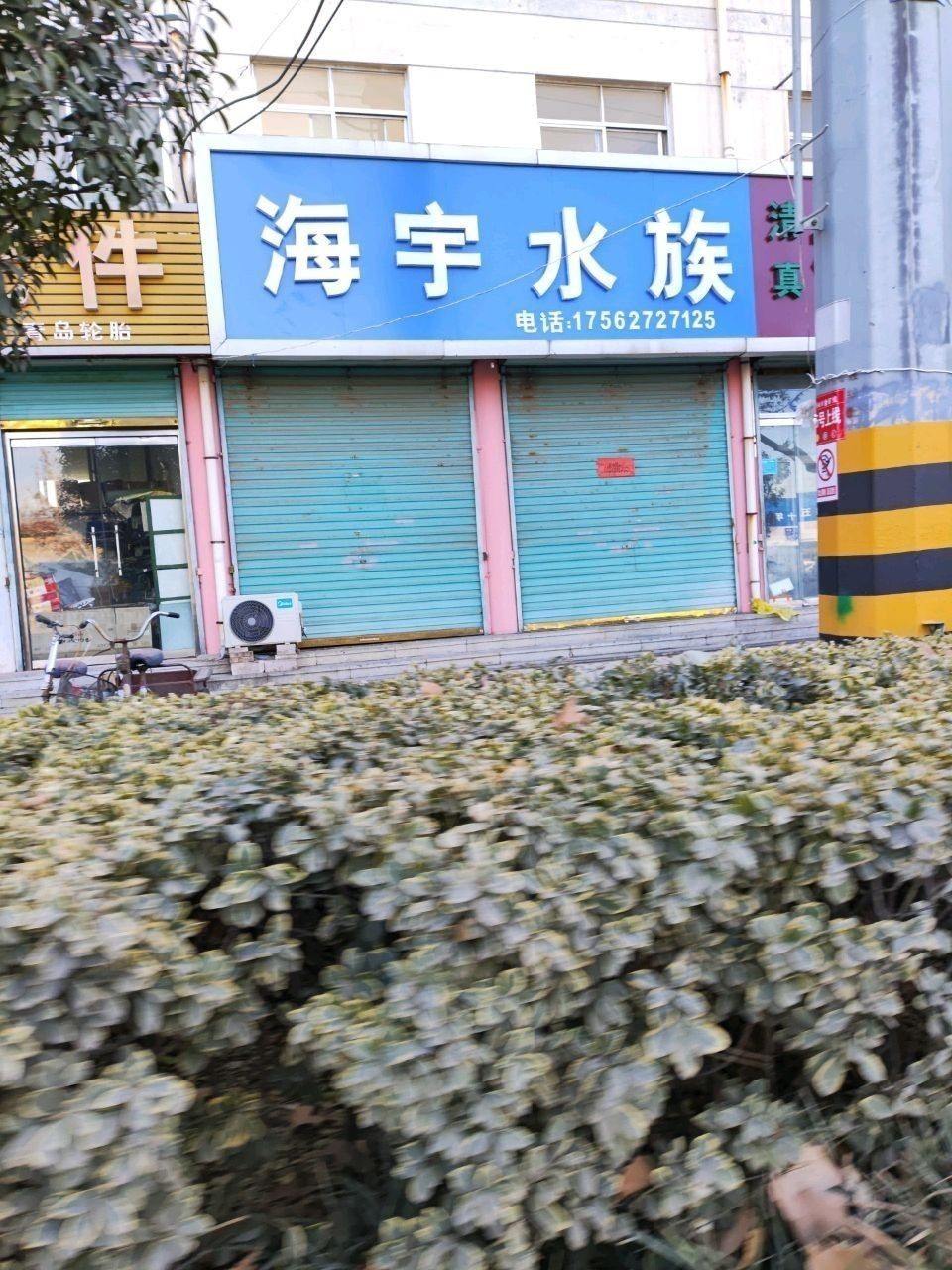 金鄉開水族店怎么樣？加盟祥龍魚場賣龍魚市場怎樣？
