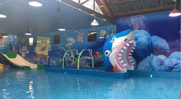 丘北開水族店怎么樣？加盟祥龍魚場賣龍魚市場怎樣？