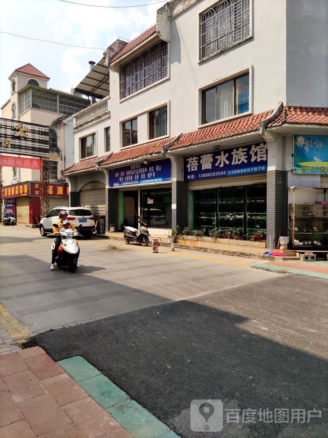 滄源開水族店怎么樣？加盟祥龍魚場賣龍魚市場怎樣？