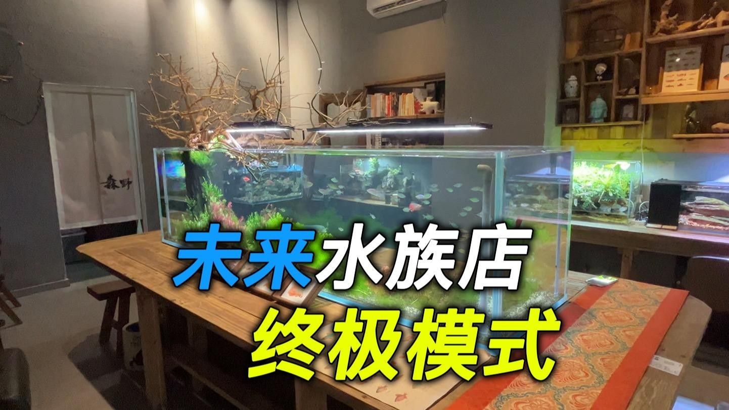 岢嵐開水族店怎么樣？加盟祥龍魚場賣龍魚市場怎樣？