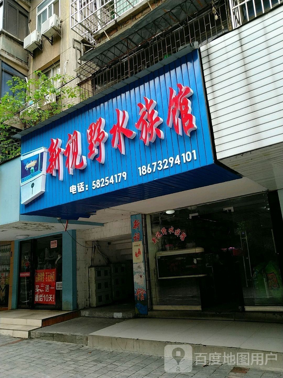 湘潭開水族店怎么樣？加盟祥龍魚場賣龍魚市場怎樣？