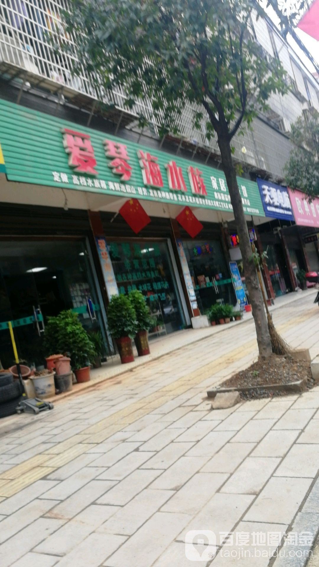 湘潭開水族店怎么樣？加盟祥龍魚場賣龍魚市場怎樣？