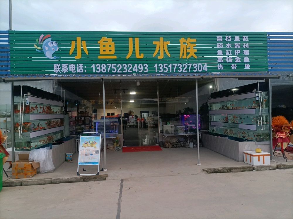 湘潭開水族店怎么樣？加盟祥龍魚場賣龍魚市場怎樣？