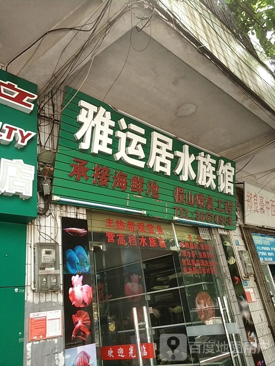 海南州開水族店怎么樣？加盟祥龍魚場賣龍魚市場怎樣？