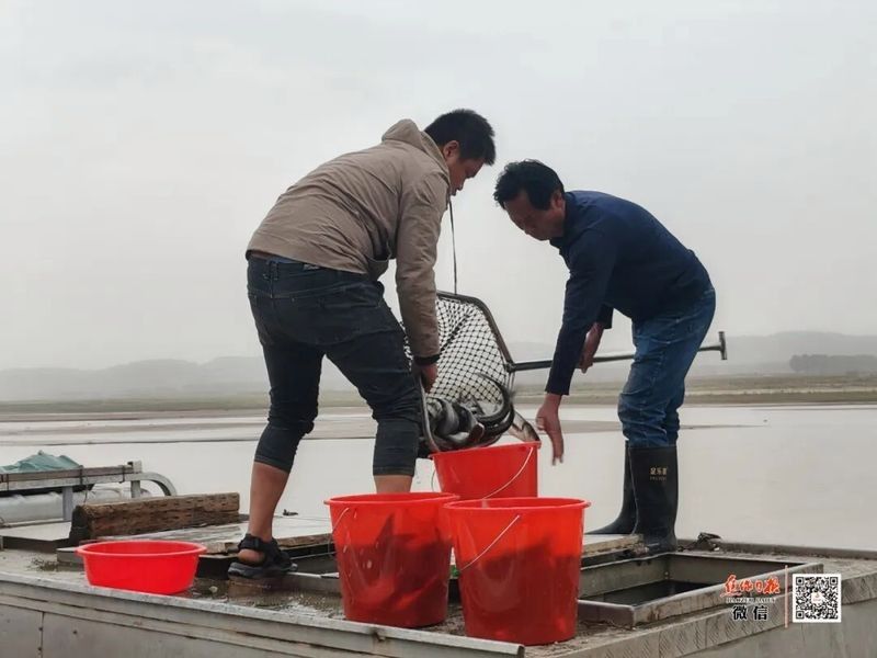 溫縣開水族店怎么樣？加盟祥龍魚場賣龍魚市場怎樣？