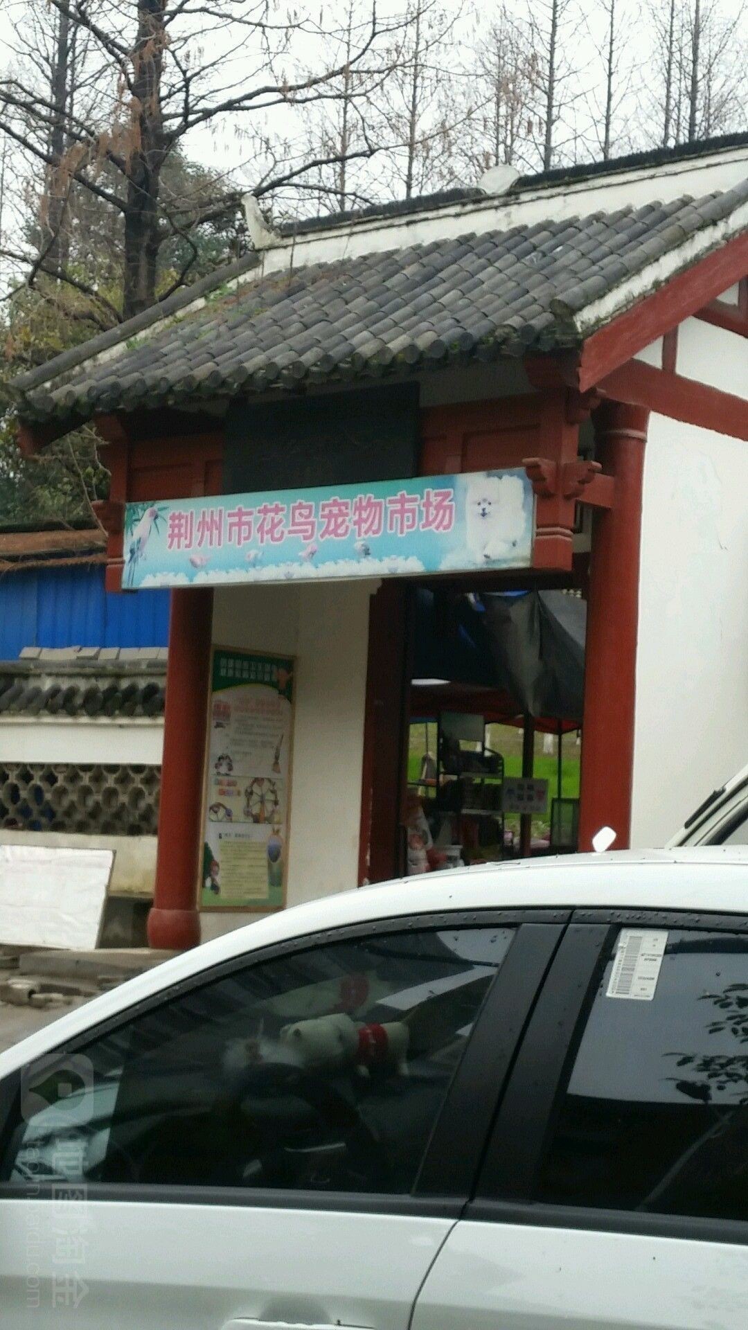 江陵開水族店怎么樣？加盟祥龍魚場賣龍魚市場怎樣？