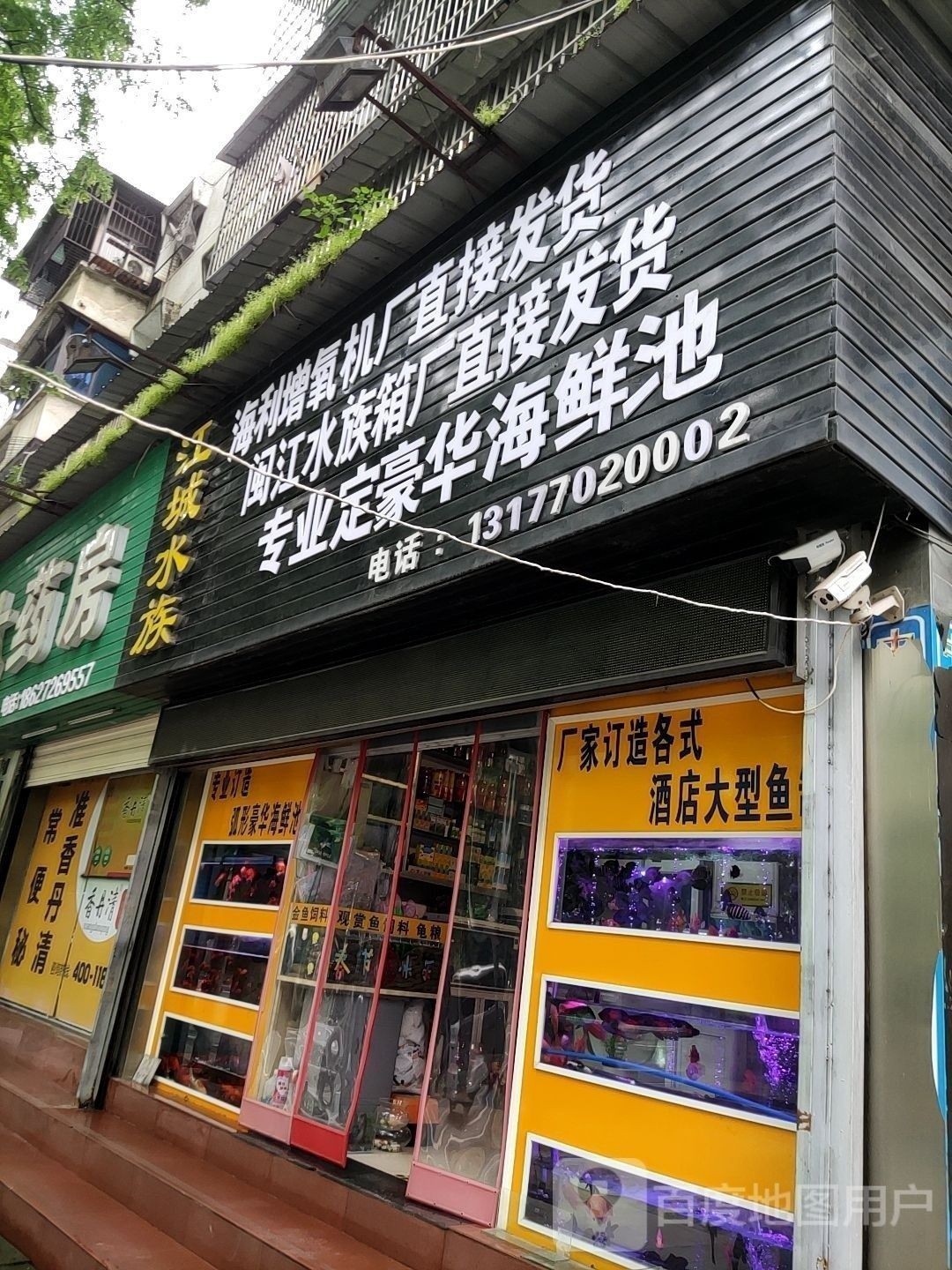 江陵開水族店怎么樣？加盟祥龍魚場賣龍魚市場怎樣？