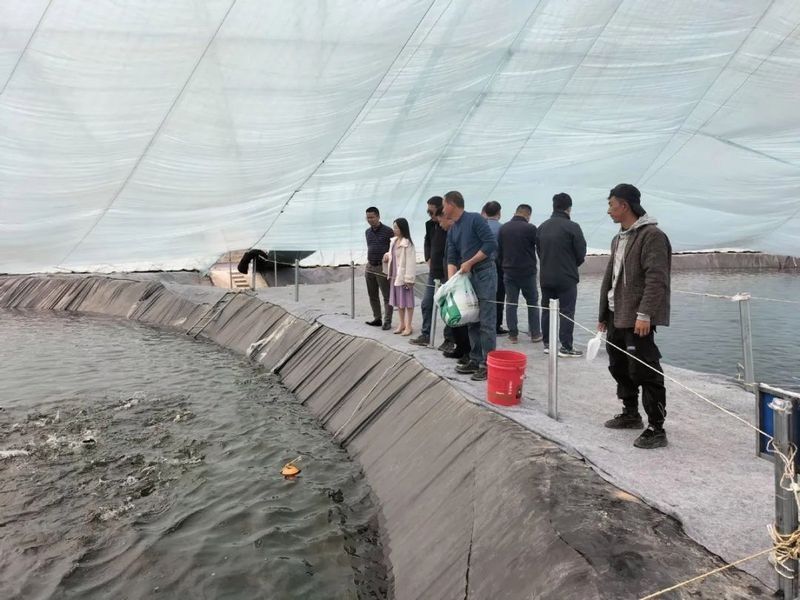 那曲地開水族店怎么樣？加盟祥龍魚場賣龍魚市場怎樣？