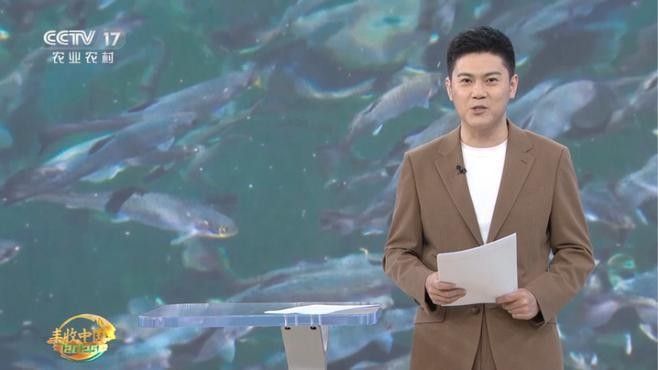 那曲地開水族店怎么樣？加盟祥龍魚場賣龍魚市場怎樣？