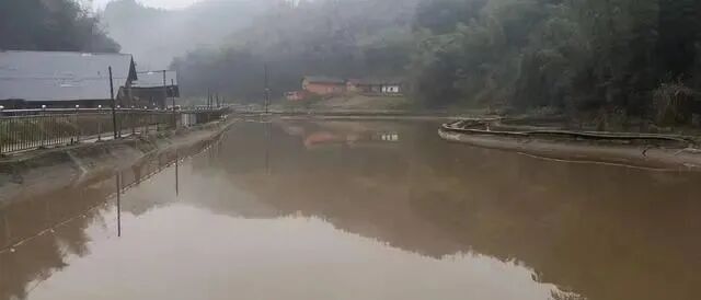 那曲地開水族店怎么樣？加盟祥龍魚場賣龍魚市場怎樣？