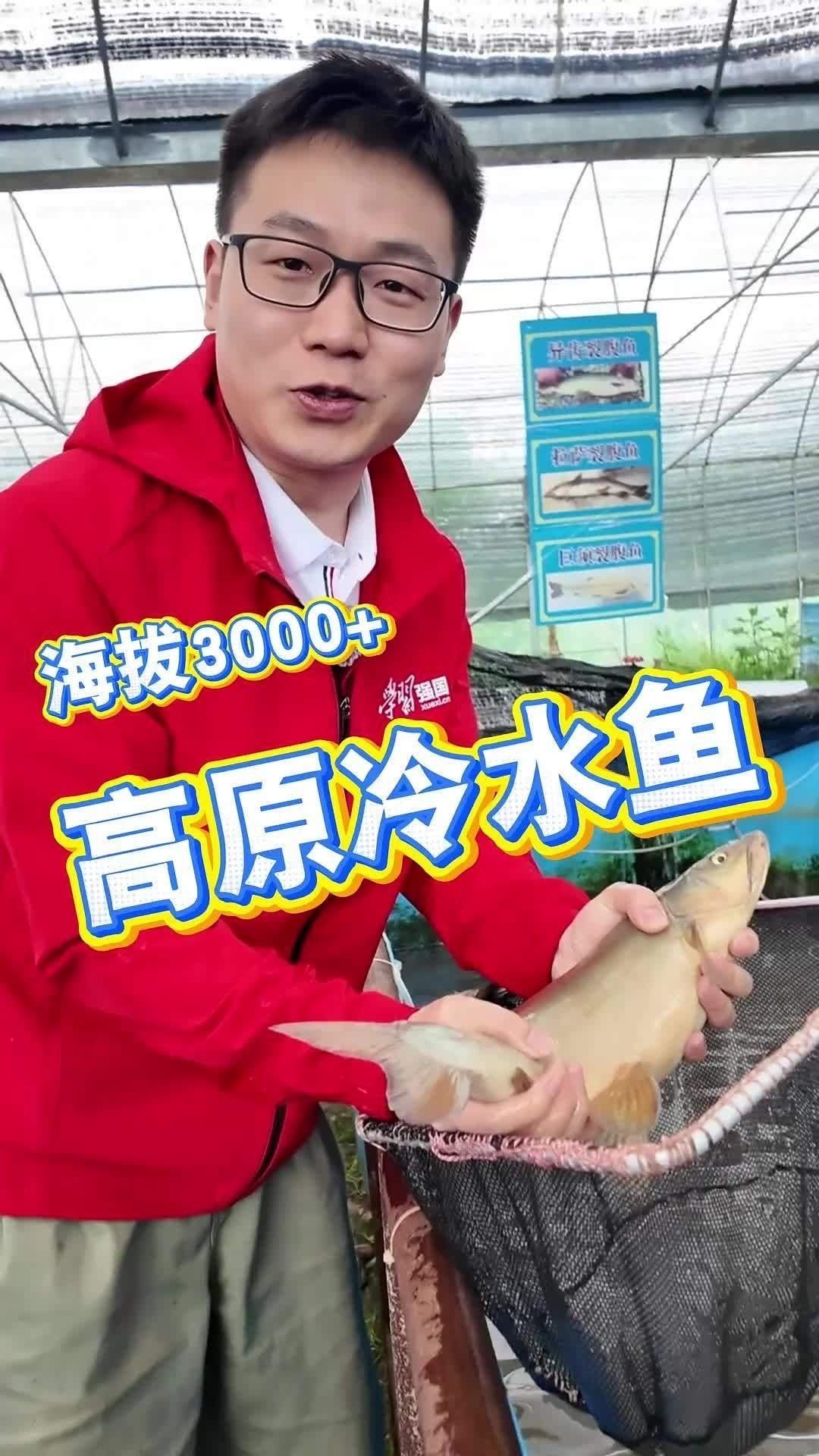 那曲地開水族店怎么樣？加盟祥龍魚場賣龍魚市場怎樣？