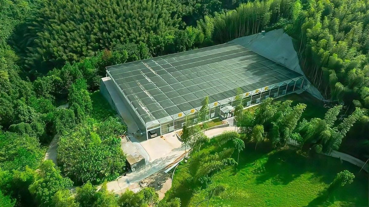 那曲地開水族店怎么樣？加盟祥龍魚場賣龍魚市場怎樣？