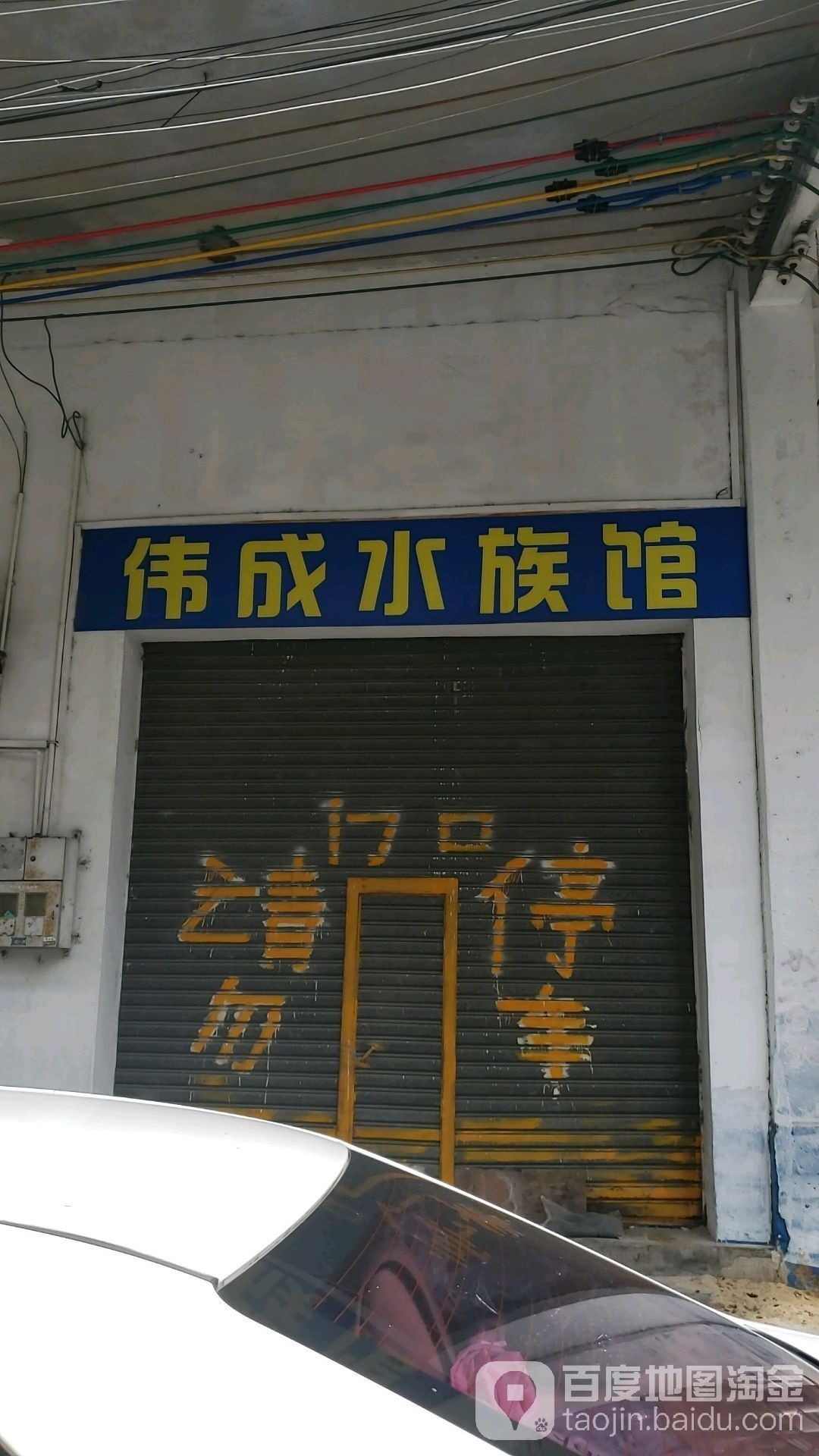 廣陽開水族店怎么樣？加盟祥龍魚場賣龍魚市場怎樣？