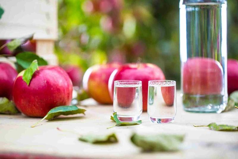 叢臺開水族店怎么樣？加盟祥龍魚場賣龍魚市場怎樣？