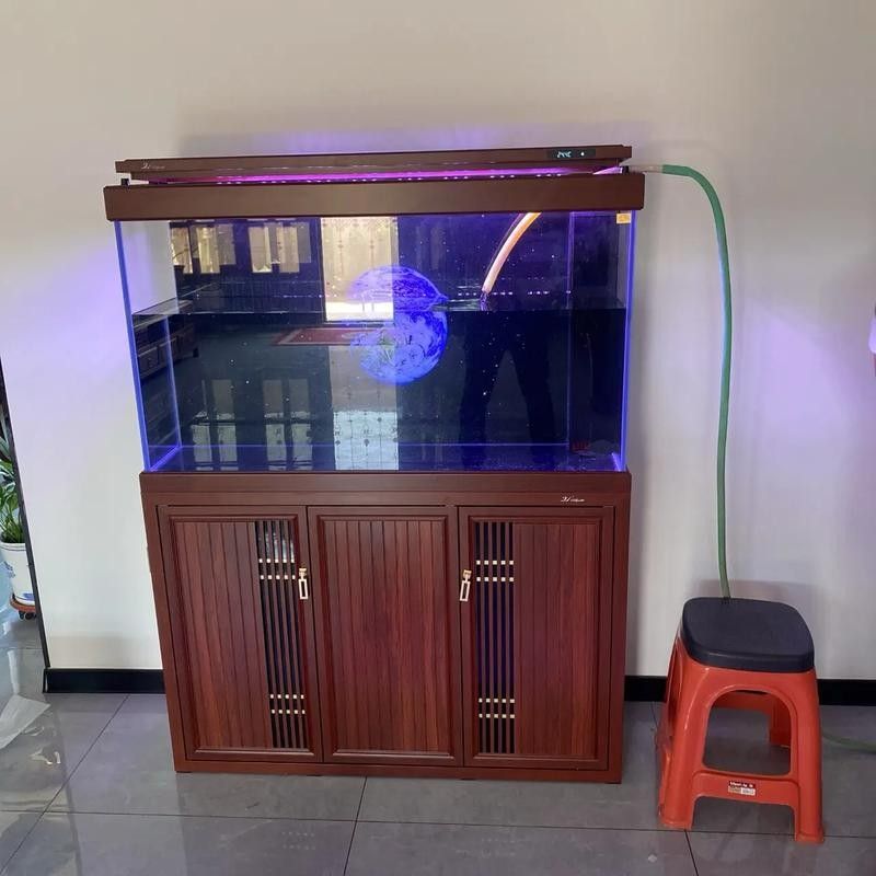 江西開水族店怎么樣？加盟祥龍魚場賣龍魚市場怎樣？