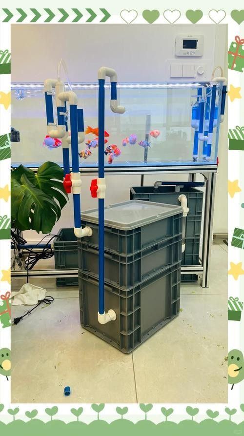江西開水族店怎么樣？加盟祥龍魚場賣龍魚市場怎樣？