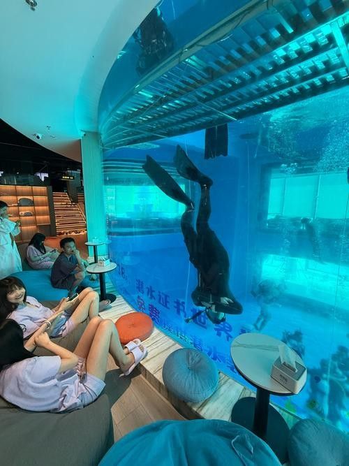陶樂開水族店怎么樣？加盟祥龍魚場賣龍魚市場怎樣？