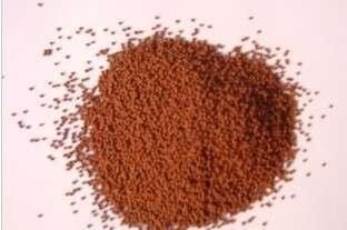 魚缸水剛換就變渾濁（如何快速建立魚缸硝化系統(tǒng)）