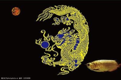 養(yǎng)龍魚(yú)用什么背景圖比較好看：養(yǎng)龍魚(yú)時(shí)選擇合適的背景圖是非常重要的一步