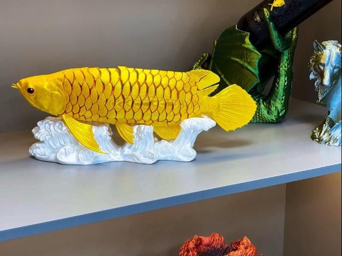 休寧開水族店怎么樣？加盟祥龍魚場賣龍魚市場怎樣？