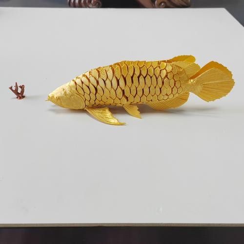 休寧開水族店怎么樣？加盟祥龍魚場賣龍魚市場怎樣？