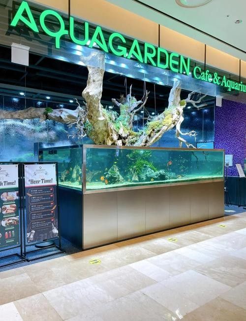 澧縣開水族店怎么樣？加盟祥龍魚場賣龍魚市場怎樣？