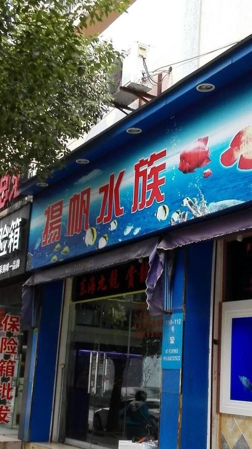 紹興開水族店怎么樣？加盟祥龍魚場賣龍魚市場怎樣？
