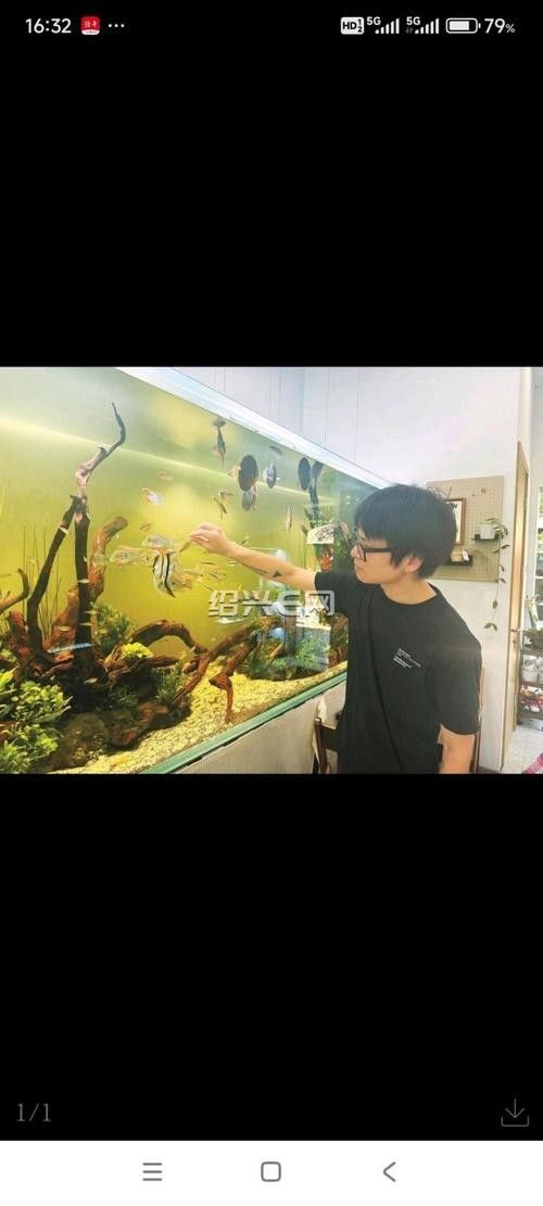 紹興開水族店怎么樣？加盟祥龍魚場賣龍魚市場怎樣？ 紹興開水族店怎么樣？加盟祥龍魚場賣龍魚市場怎樣？ 水族館百科（水族館加盟） 第4張