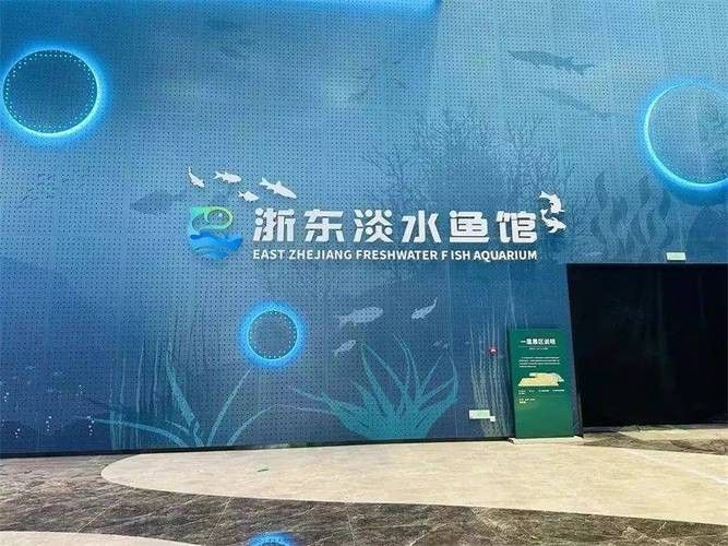 紹興開水族店怎么樣？加盟祥龍魚場賣龍魚市場怎樣？ 紹興開水族店怎么樣？加盟祥龍魚場賣龍魚市場怎樣？ 水族館百科（水族館加盟） 第5張